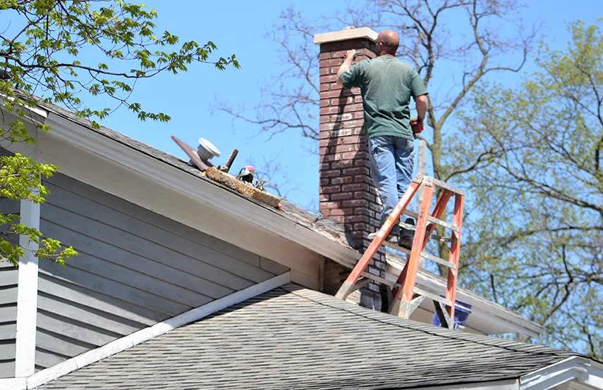Chimney & Fireplace Inspections Services in Channelview, TX